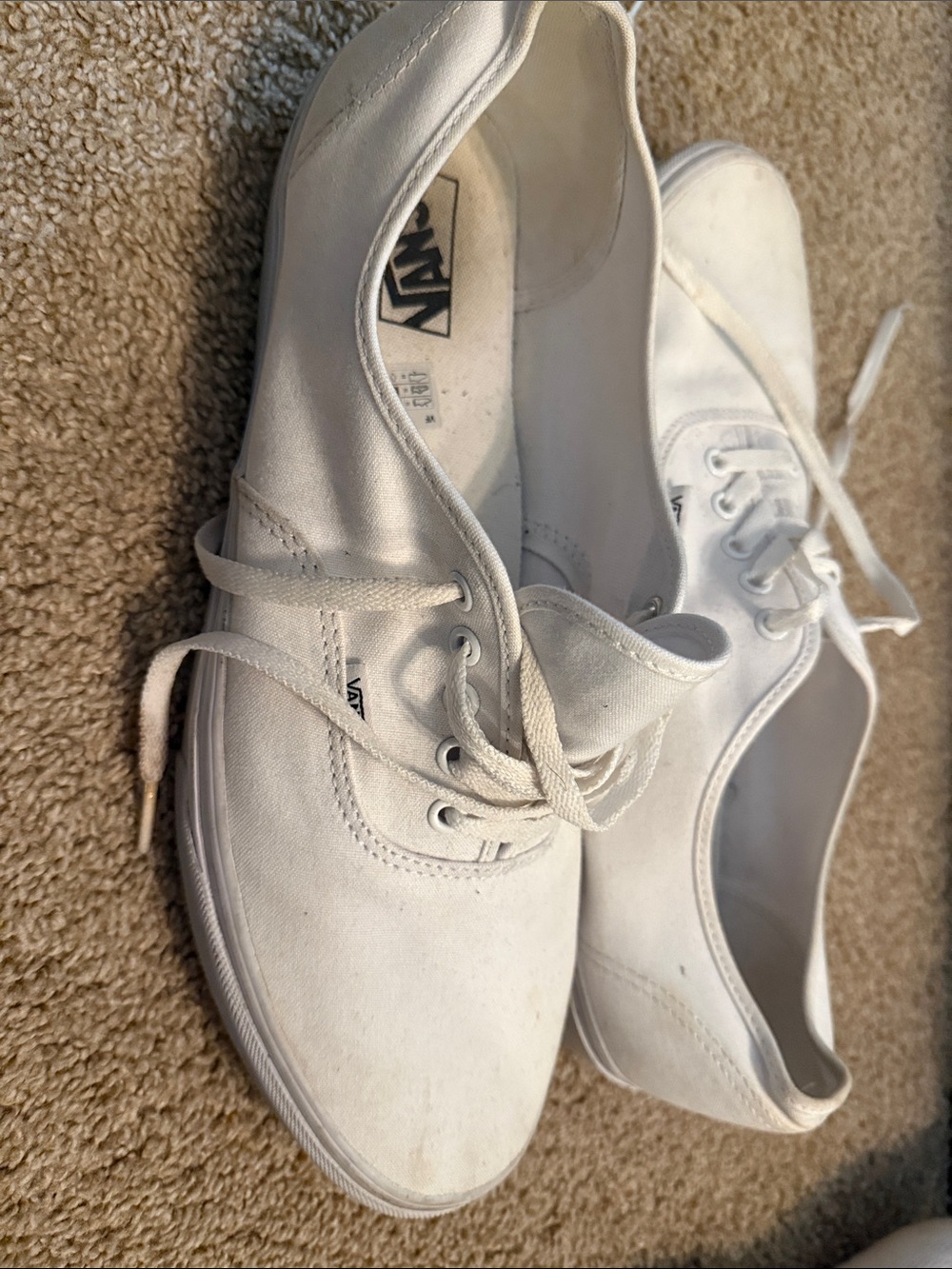 Vans Men 15 White Low-Top Sneakers